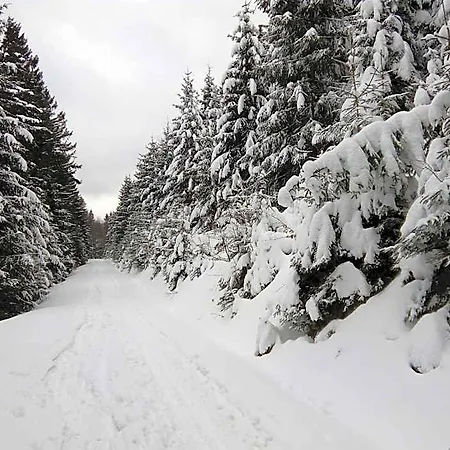 Niva Adamov (Moravia-Silesia)